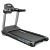 Беговая дорожка BRONZE GYM T900 PRO TFT